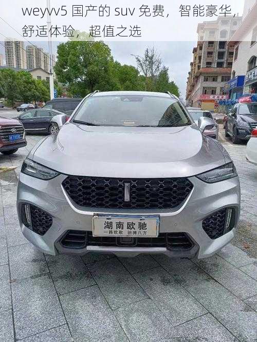 weyvv5 国产的 suv 免费，智能豪华，舒适体验，超值之选