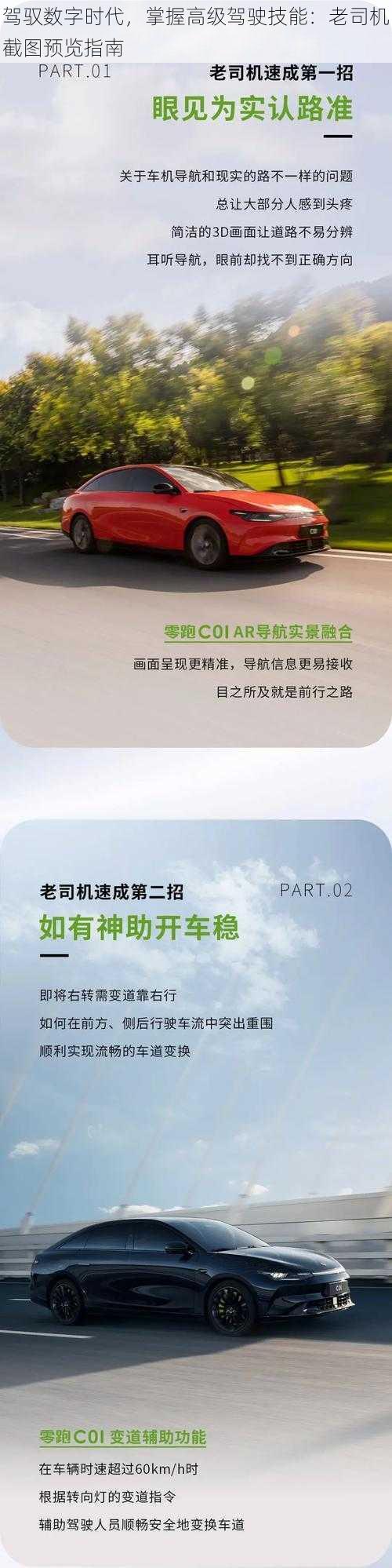 驾驭数字时代，掌握高级驾驶技能：老司机截图预览指南