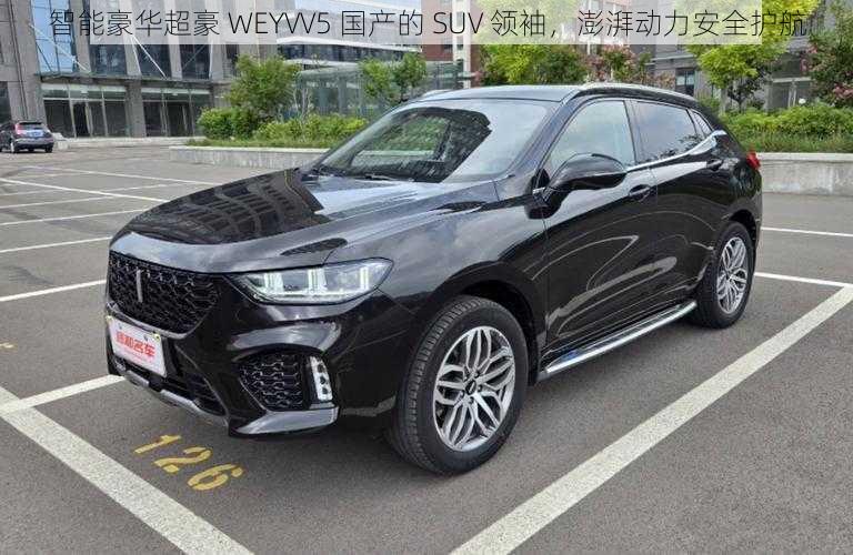 智能豪华超豪 WEYVV5 国产的 SUV 领袖，澎湃动力安全护航