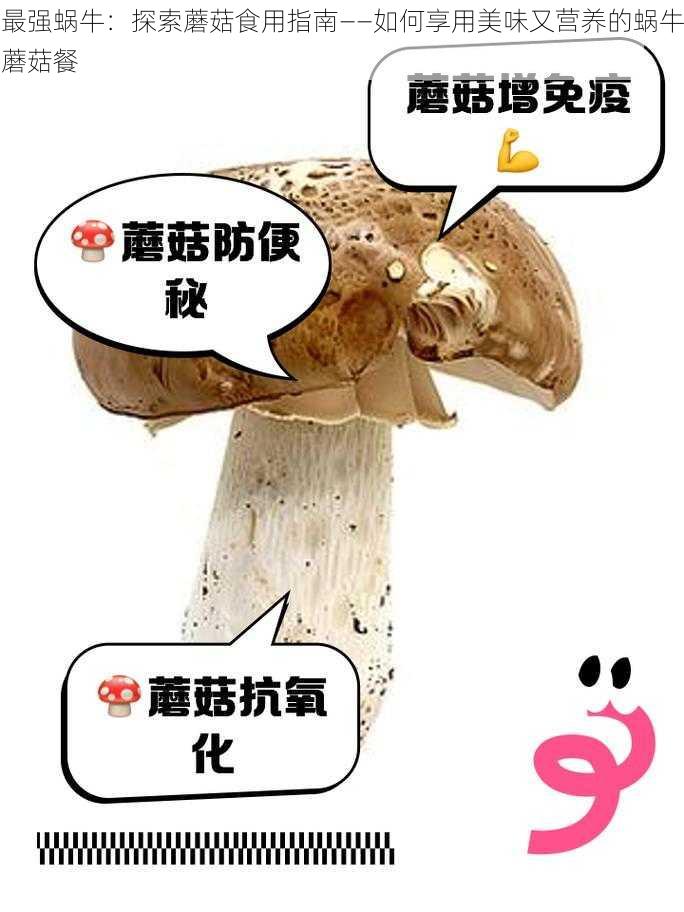 最强蜗牛：探索蘑菇食用指南——如何享用美味又营养的蜗牛蘑菇餐