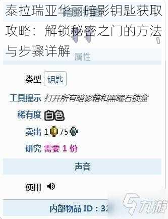 泰拉瑞亚华丽暗影钥匙获取攻略：解锁秘密之门的方法与步骤详解