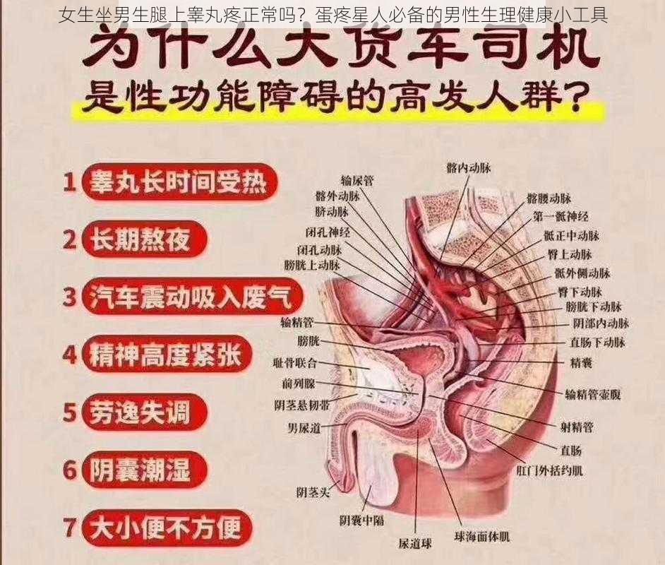 女生坐男生腿上睾丸疼正常吗？蛋疼星人必备的男性生理健康小工具