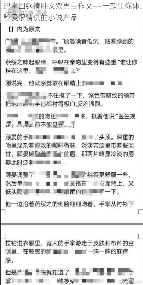 巴掌回锅揍肿文双男主作文——一款让你体验爱恨情仇的小说产品