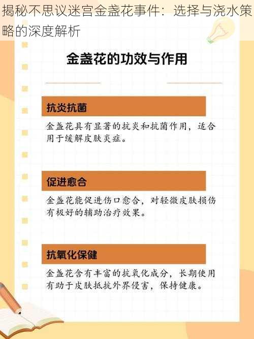 揭秘不思议迷宫金盏花事件：选择与浇水策略的深度解析