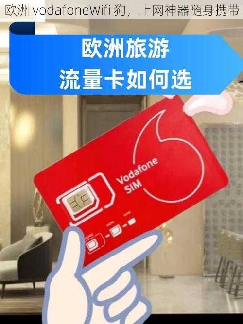 欧洲 vodafoneWifi 狗，上网神器随身携带