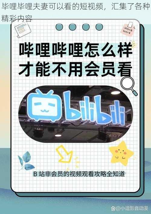 毕哩毕哩夫妻可以看的短视频，汇集了各种精彩内容