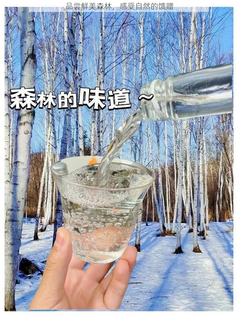 品尝鲜美森林，感受自然的馈赠