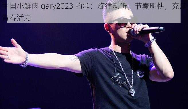 中国小鲜肉 gary2023 的歌：旋律动听，节奏明快，充满青春活力