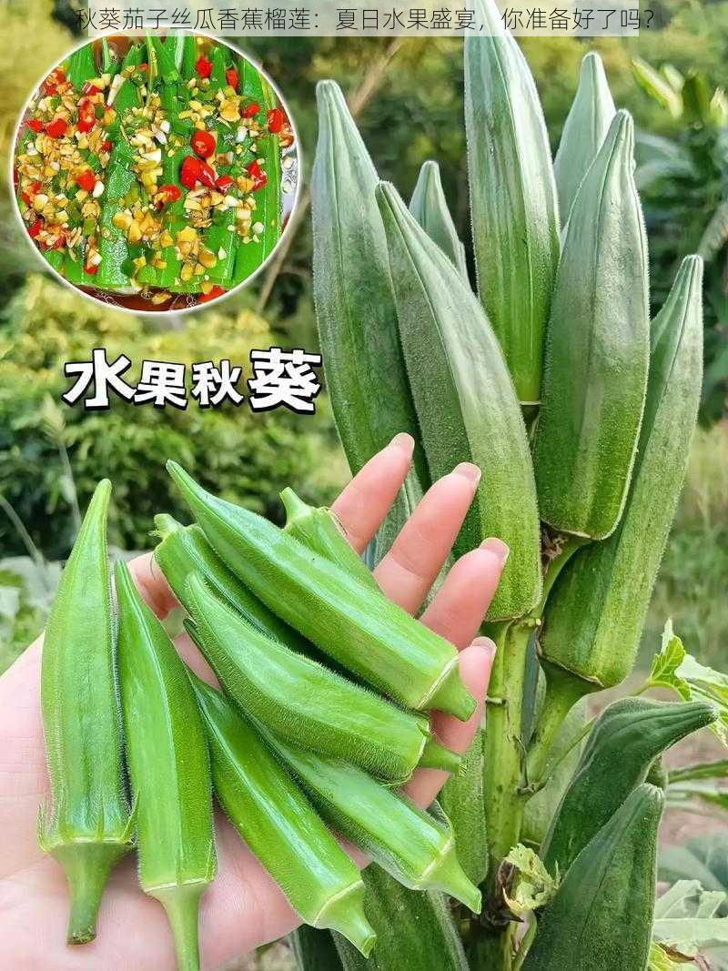 秋葵茄子丝瓜香蕉榴莲：夏日水果盛宴，你准备好了吗？