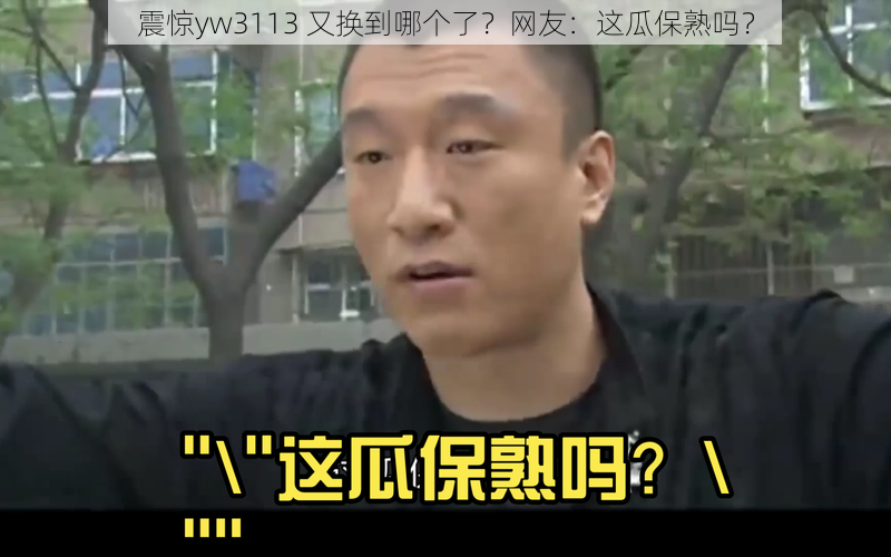 震惊yw3113 又换到哪个了？网友：这瓜保熟吗？