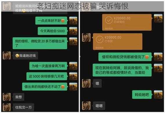 老妇痴迷网恋被骗 哭诉悔恨