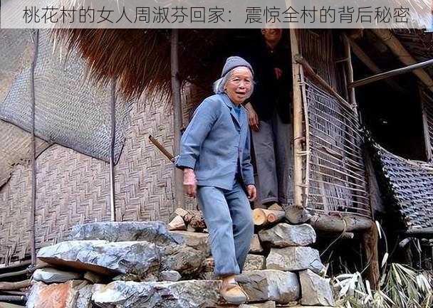 桃花村的女人周淑芬回家：震惊全村的背后秘密