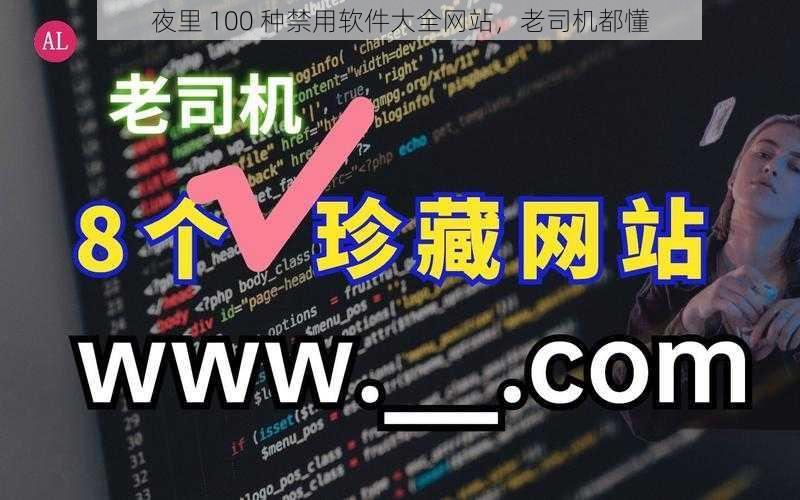 夜里 100 种禁用软件大全网站，老司机都懂