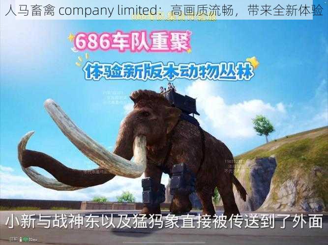 人马畜禽 company limited：高画质流畅，带来全新体验