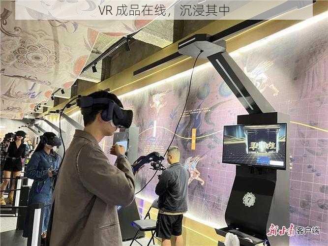 VR 成品在线，沉浸其中