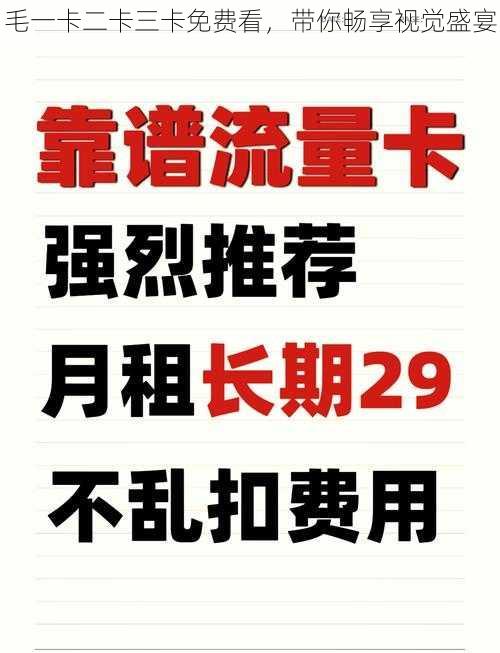 毛一卡二卡三卡免费看，带你畅享视觉盛宴