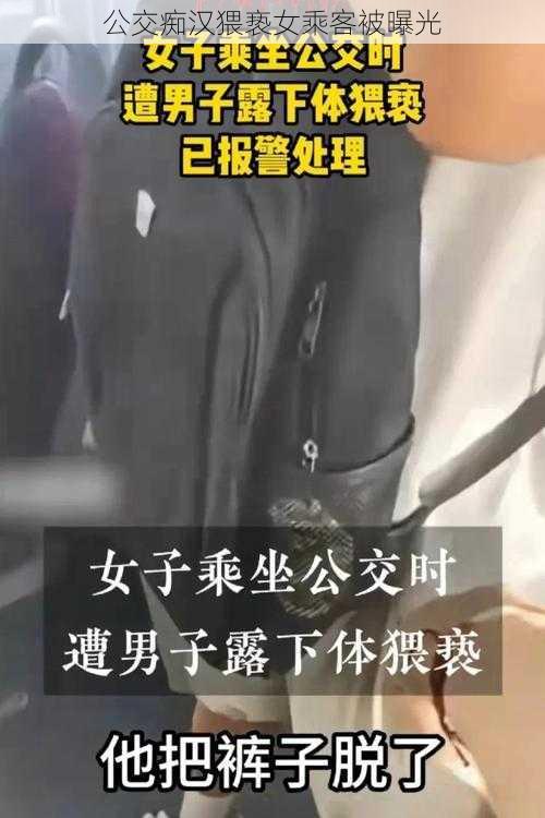 公交痴汉猥亵女乘客被曝光