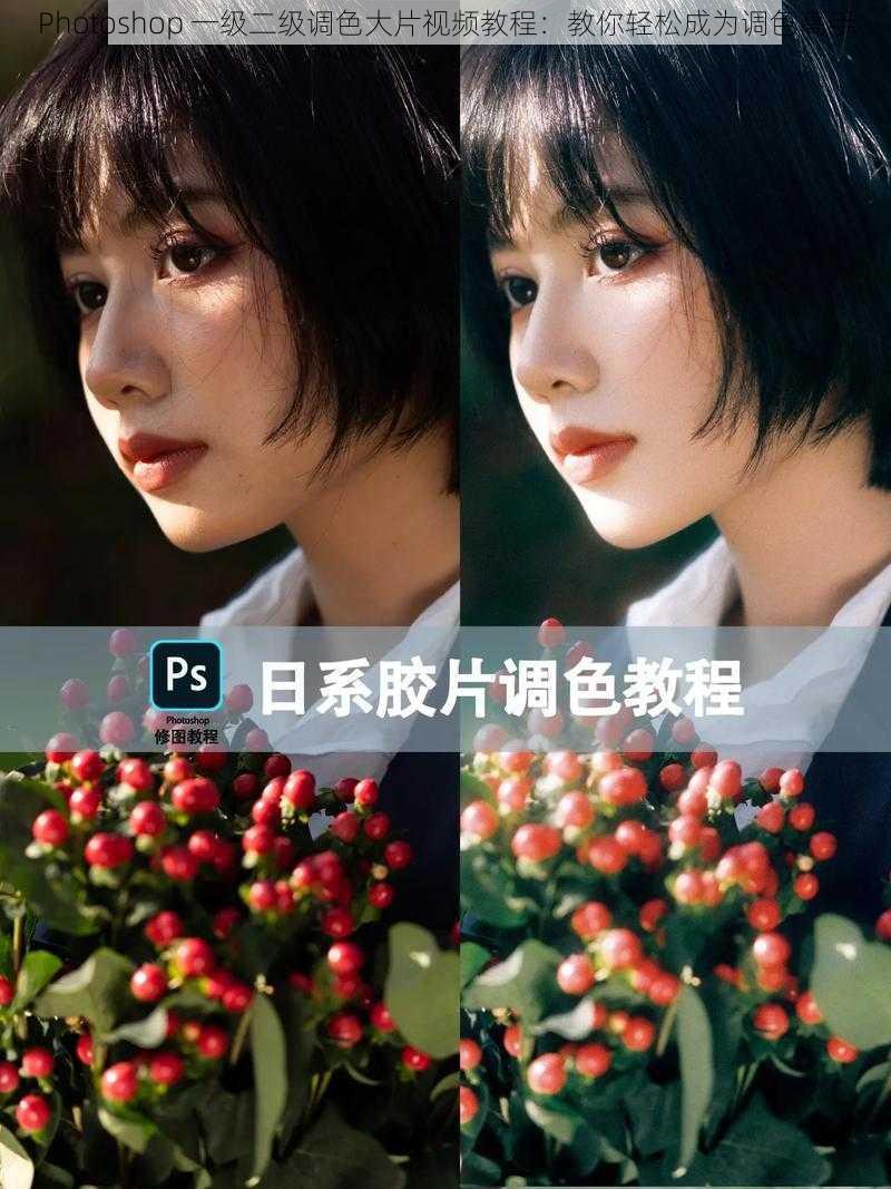 Photoshop 一级二级调色大片视频教程：教你轻松成为调色高手