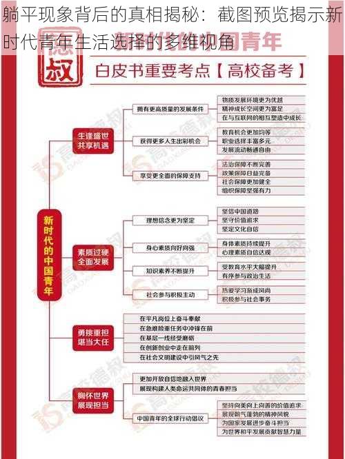 躺平现象背后的真相揭秘：截图预览揭示新时代青年生活选择的多维视角