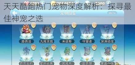 天天酷跑热门宠物深度解析：探寻最佳神宠之选