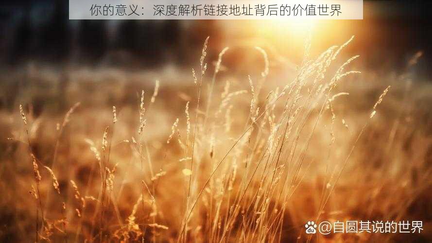 你的意义：深度解析链接地址背后的价值世界