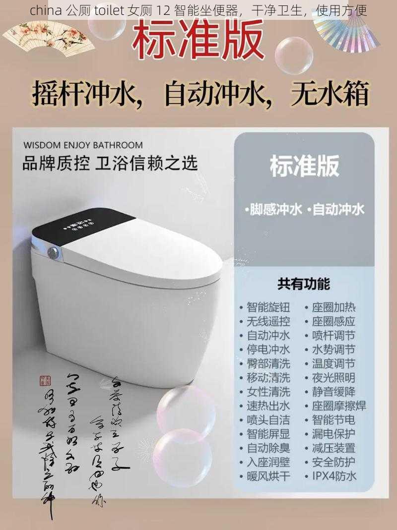 china 公厕 toilet 女厕 12 智能坐便器，干净卫生，使用方便