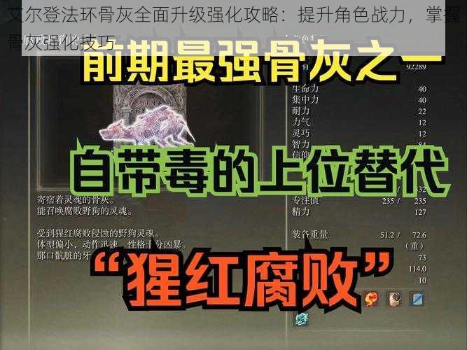 艾尔登法环骨灰全面升级强化攻略：提升角色战力，掌握骨灰强化技巧