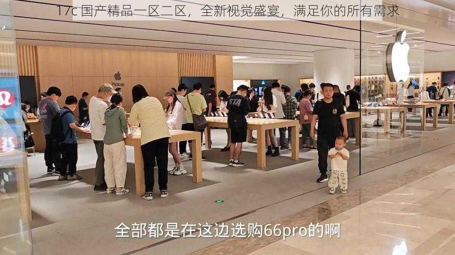 17c 国产精品一区二区，全新视觉盛宴，满足你的所有需求