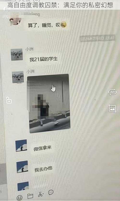 高自由度调教囚禁：满足你的私密幻想