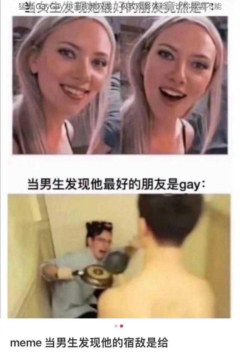 猛男 GayGay 小蓝视频双龙，极致观影体验，让你欲罢不能