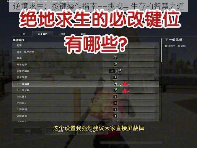 逆境求生：按键操作指南——挑战与生存的智慧之道