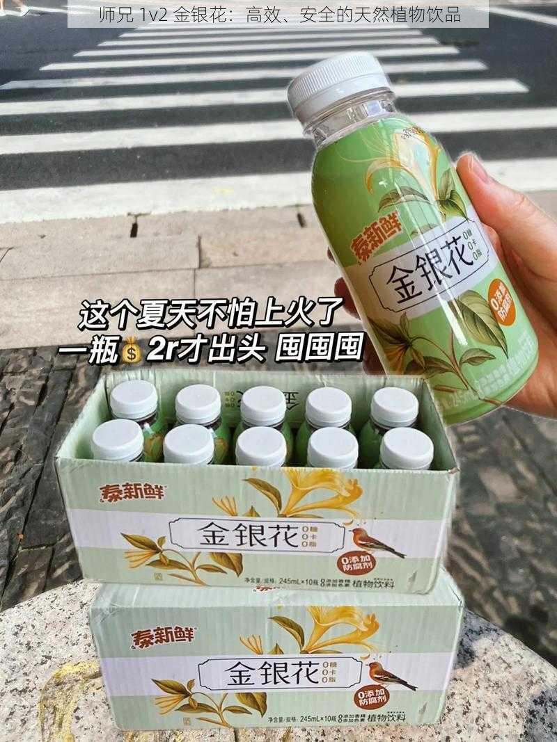 师兄 1v2 金银花：高效、安全的天然植物饮品