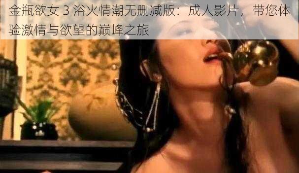 金瓶欲女 3 浴火情潮无删减版：成人影片，带您体验激情与欲望的巅峰之旅