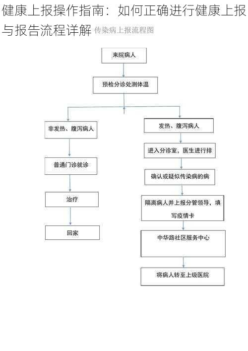 健康上报操作指南：如何正确进行健康上报与报告流程详解