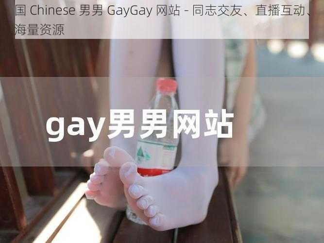 国 Chinese 男男 GayGay 网站 - 同志交友、直播互动、海量资源