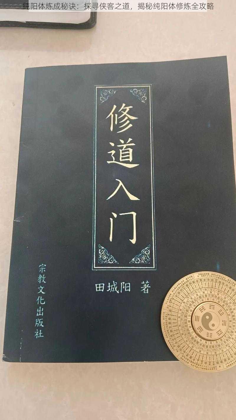 纯阳体炼成秘诀：探寻侠客之道，揭秘纯阳体修炼全攻略