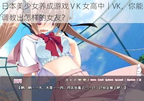 日本美少女养成游戏ⅤK 女高中丨VK，你能调教出怎样的女友？