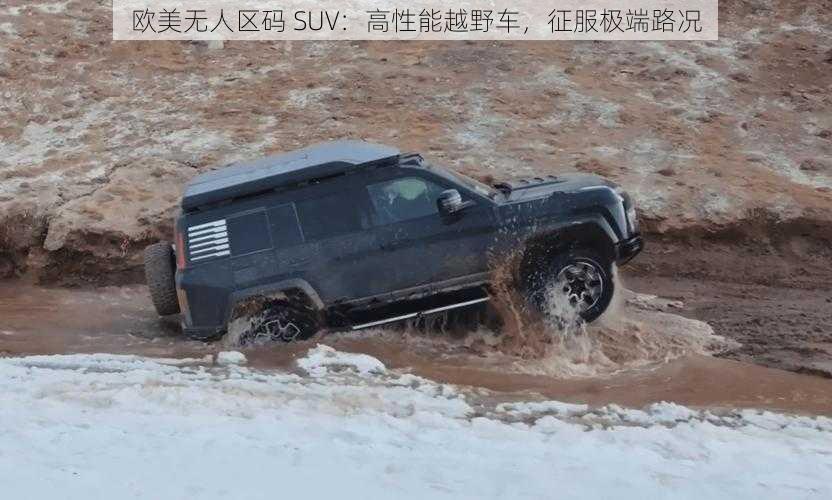 欧美无人区码 SUV：高性能越野车，征服极端路况