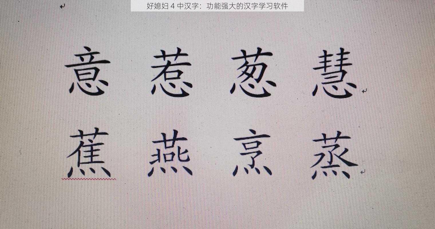 好媳妇 4 中汉字：功能强大的汉字学习软件