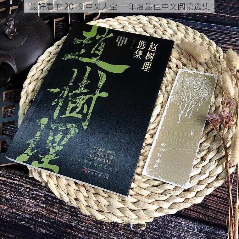 最好看的 2019 中文大全——年度最佳中文阅读选集