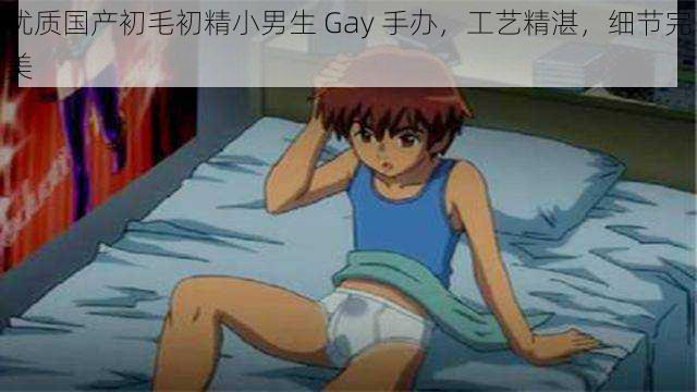 优质国产初毛初精小男生 Gay 手办，工艺精湛，细节完美