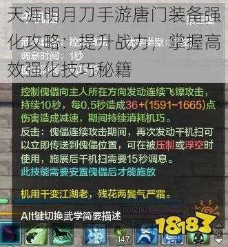 天涯明月刀手游唐门装备强化攻略：提升战力，掌握高效强化技巧秘籍