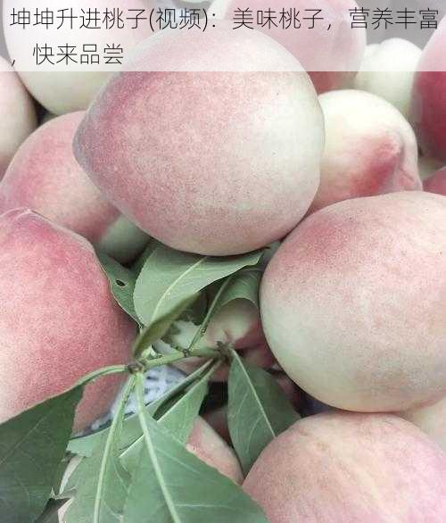 坤坤升进桃子(视频)：美味桃子，营养丰富，快来品尝