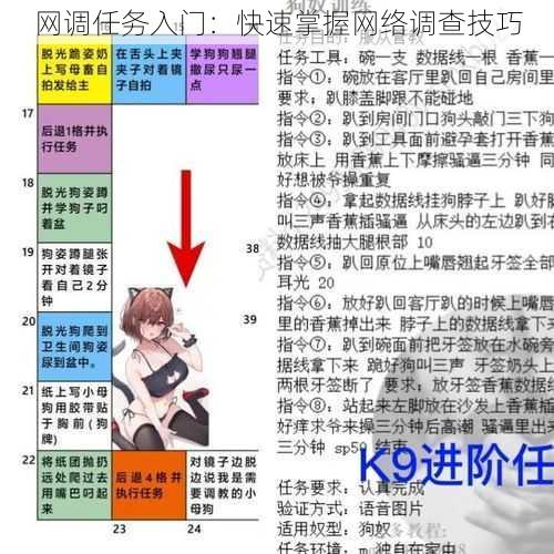 网调任务入门：快速掌握网络调查技巧