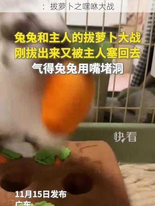 ：拔萝卜之嘿咻大战