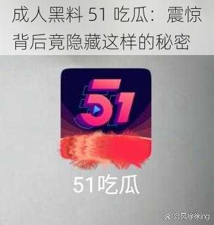 成人黑料 51 吃瓜：震惊背后竟隐藏这样的秘密