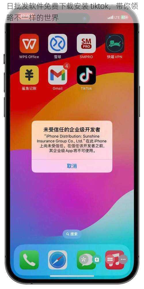 日批发软件免费下载安装 tiktok，带你领略不一样的世界
