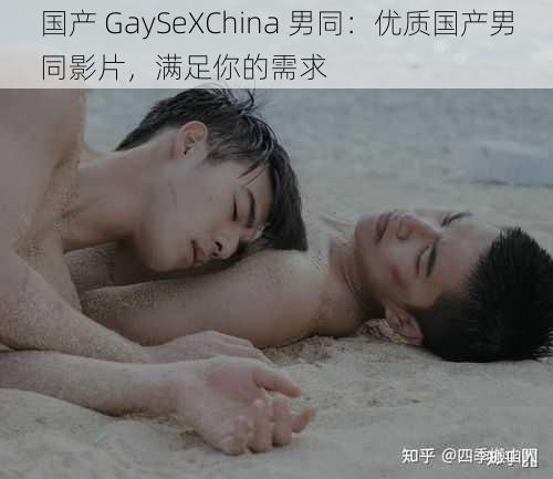 国产 GaySeXChina 男同：优质国产男同影片，满足你的需求