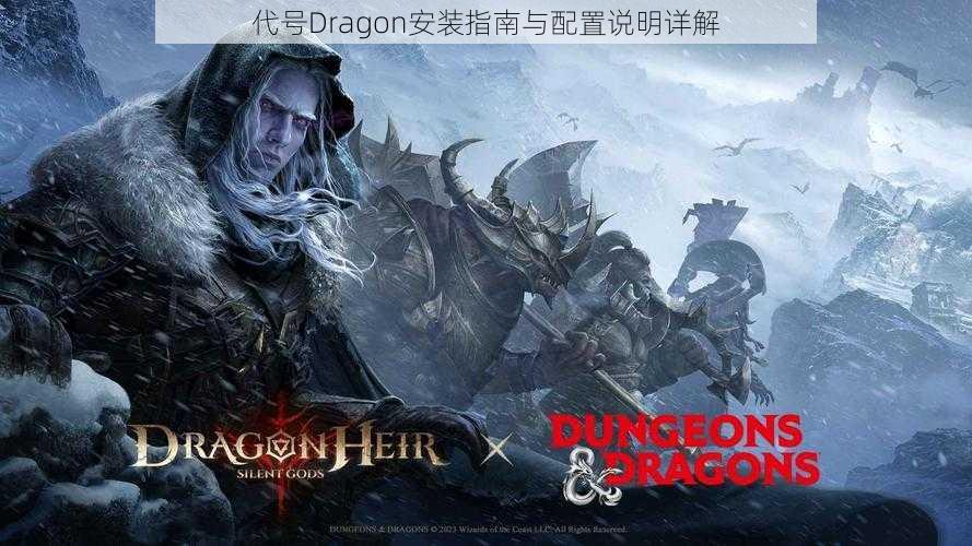 代号Dragon安装指南与配置说明详解