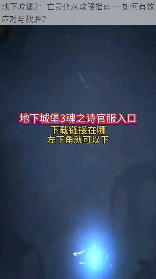 地下城堡2：亡灵仆从攻略指南——如何有效应对与战胜？